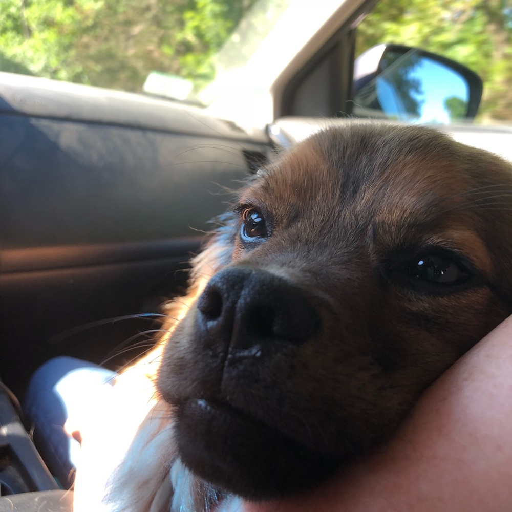 Meet your Posher, Georgia